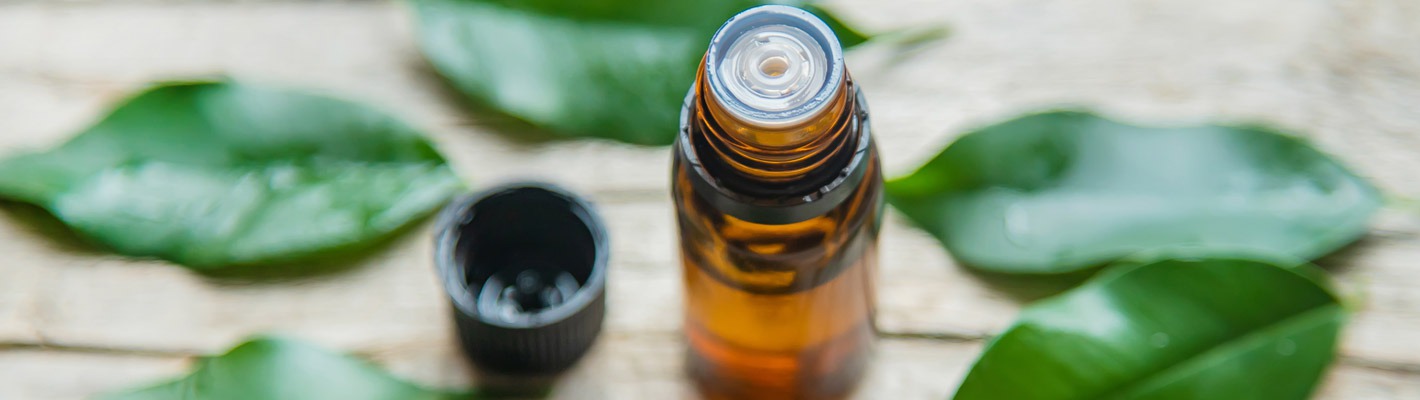 Olejek z drzewa herbacianego - w apteczce, kosmetyczce i domowej strefie SPA